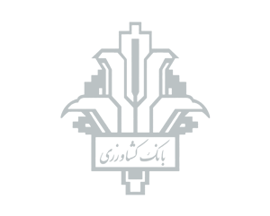 Diba_Insurance_Logo_keshavarzi-Gray